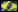 Português